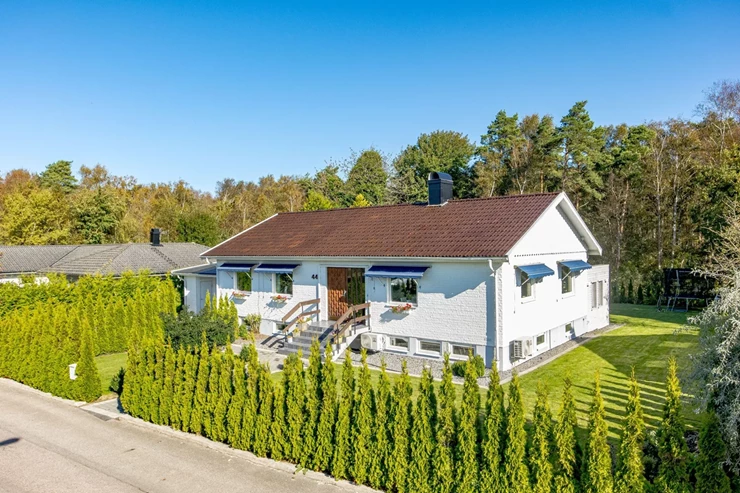 Bild3